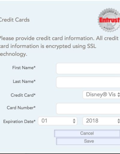 Online Check In Page 4 - part 2 credit card form