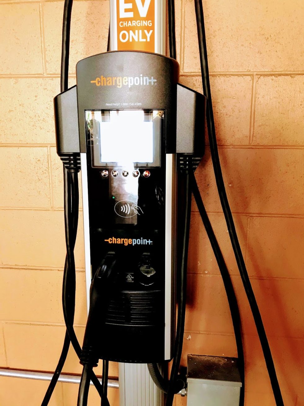 Transportation Aloha Aulani transportation-aloha-aulani